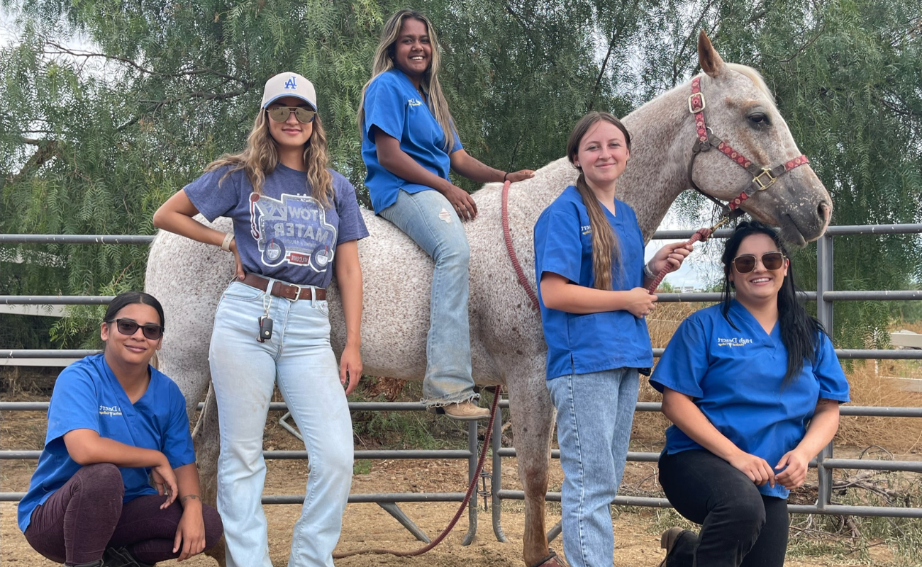 Become a Veterinary Assistant in Bakersfield, CA