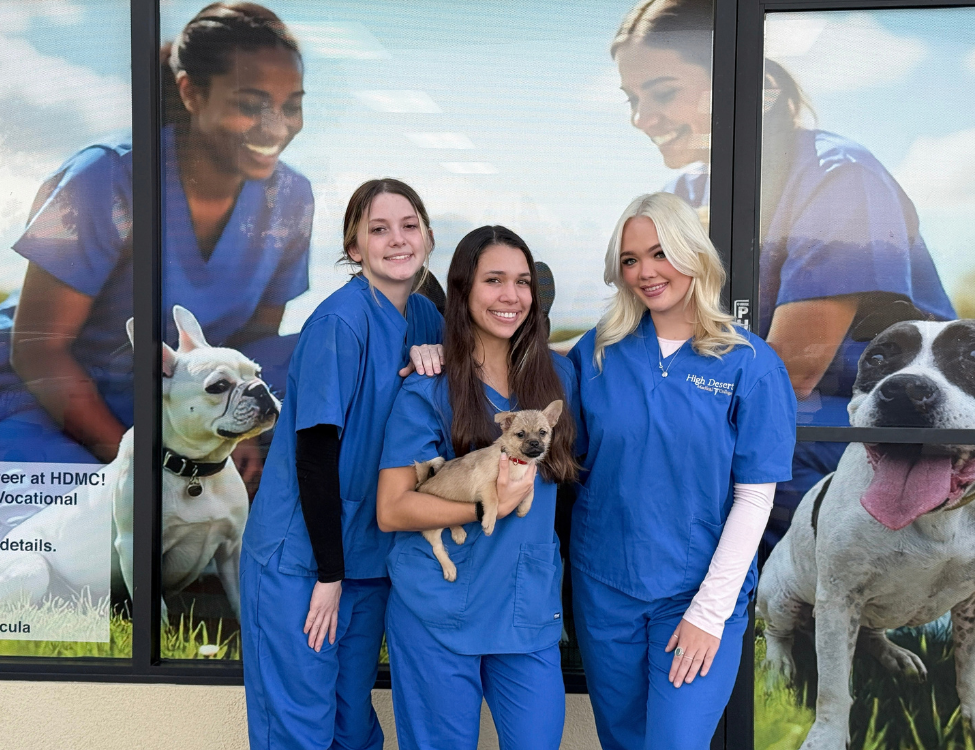 Become a Veterinary Assistant in Bakersfield, CA
